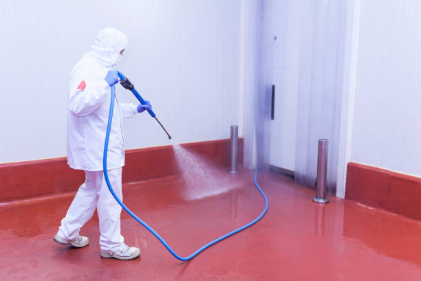 Best Graffiti Removal  in Kings Park, VA